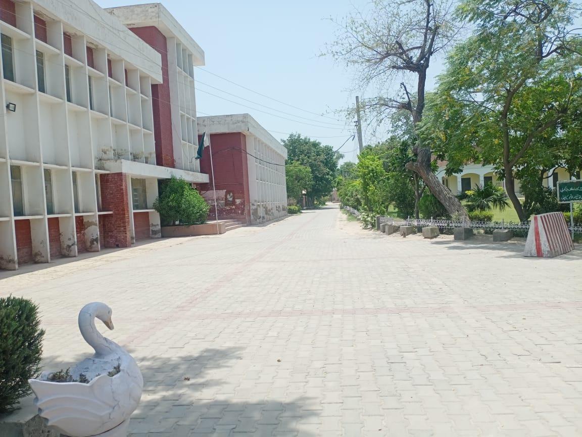 Campus Road