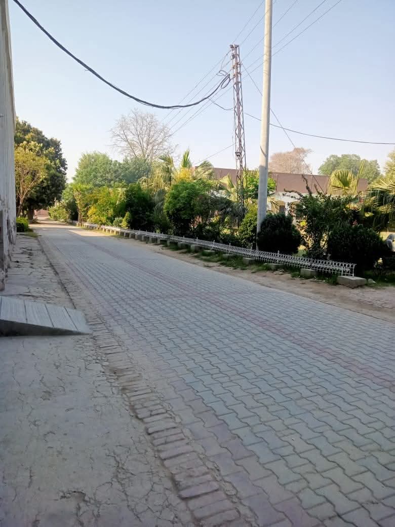 Campus Driveway
