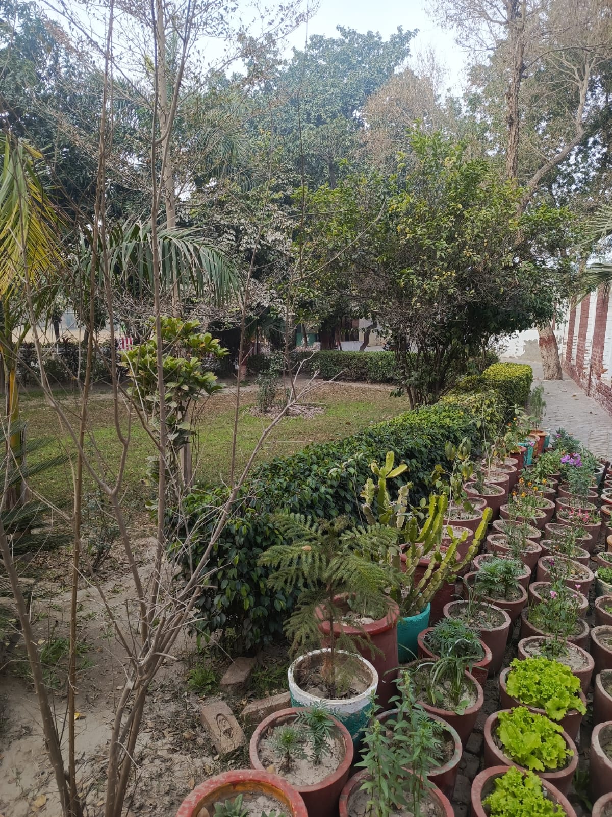 Campus Garden View