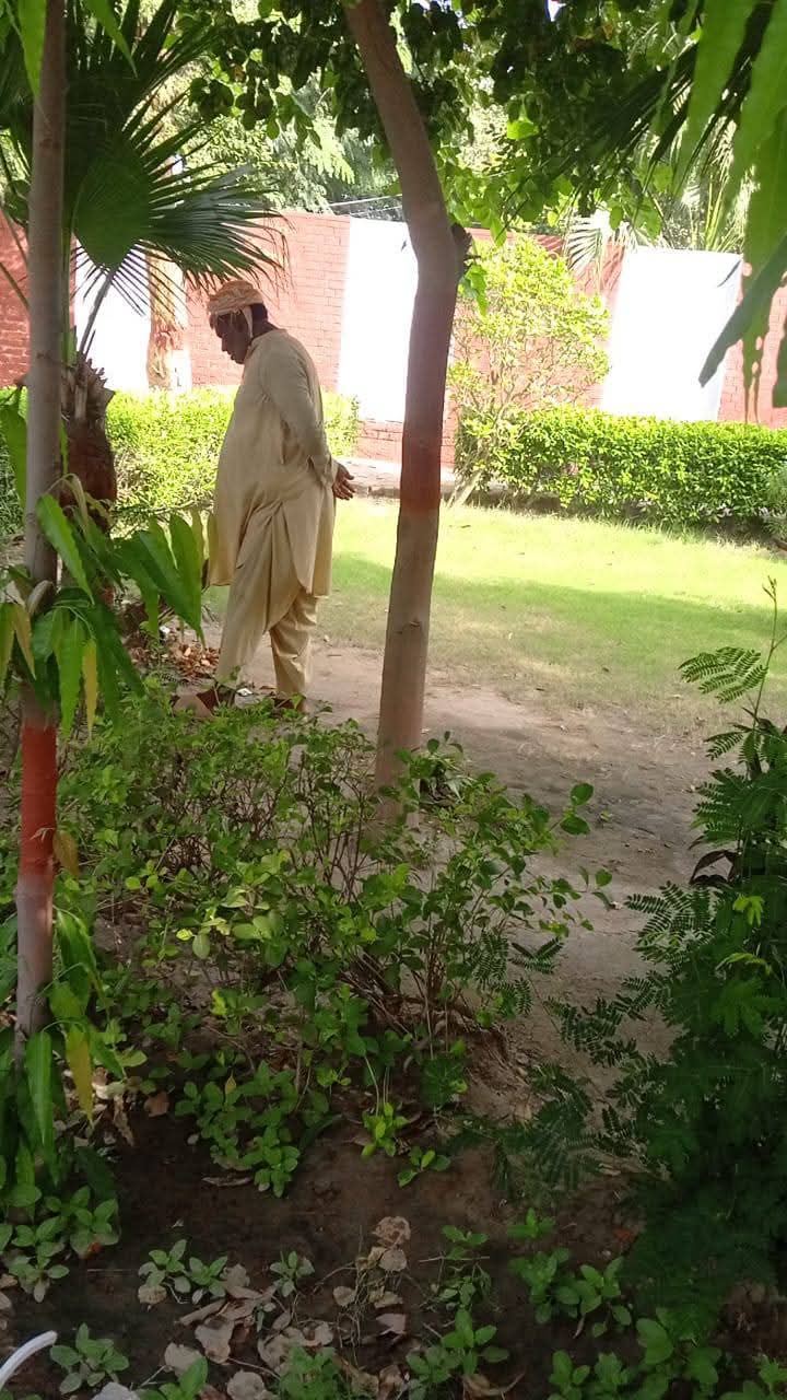 College Gardens