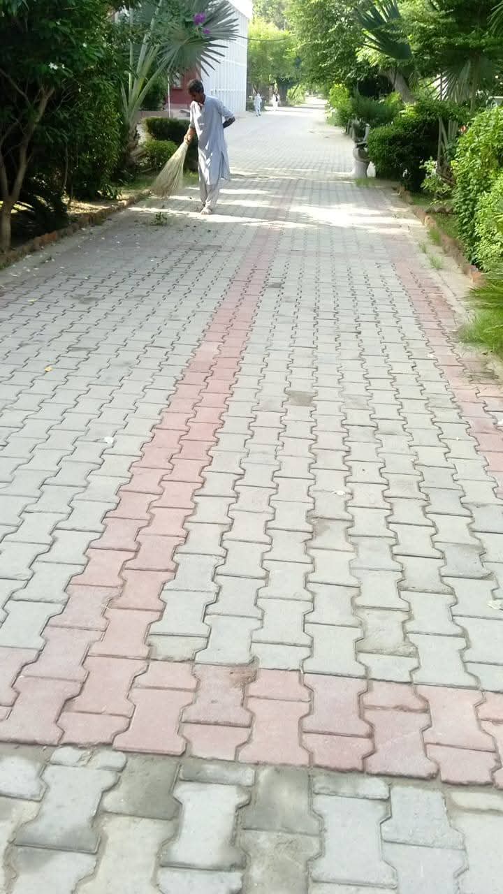 Daily Campus Maintenance