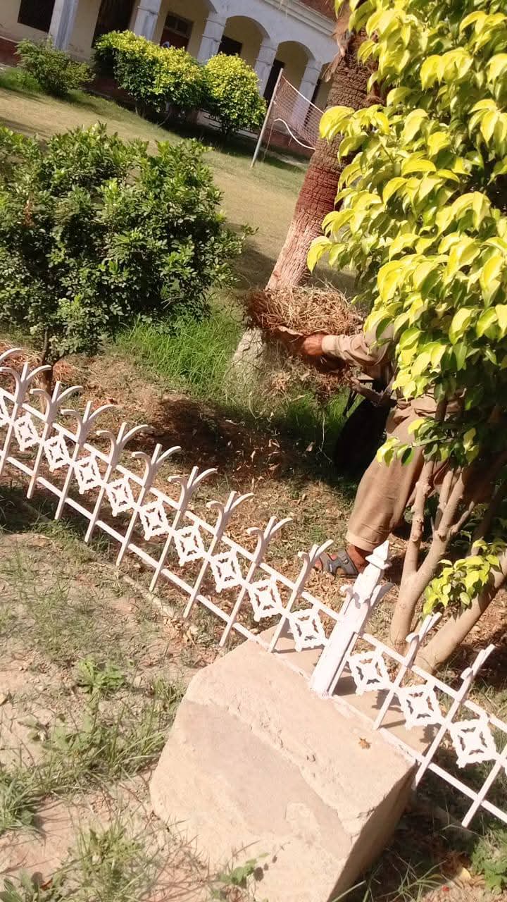Decorative Garden Fence