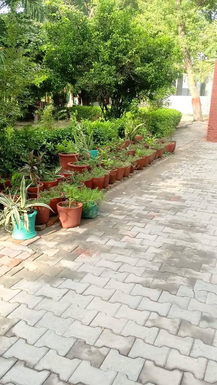 Garden Walkway with Pots