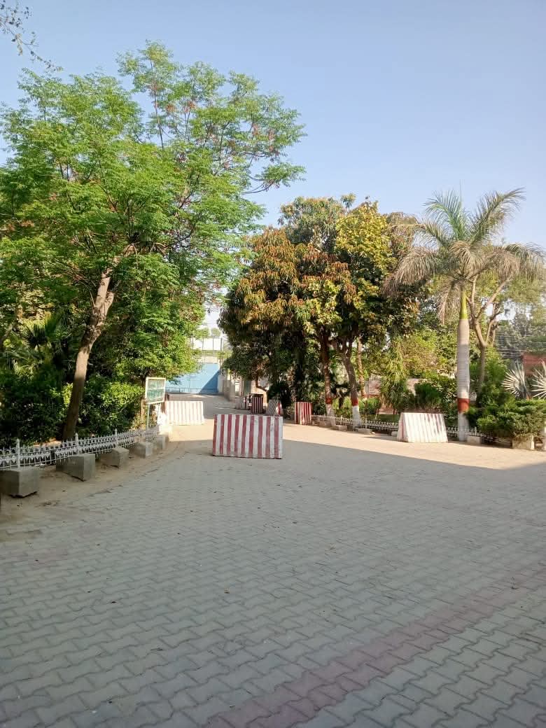 Inner Campus Walkway