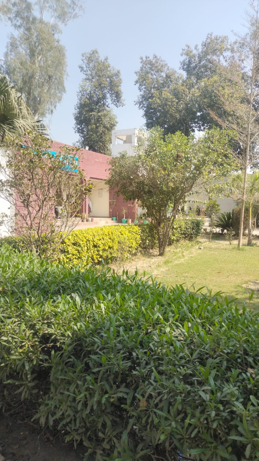 Lush Campus Lawn