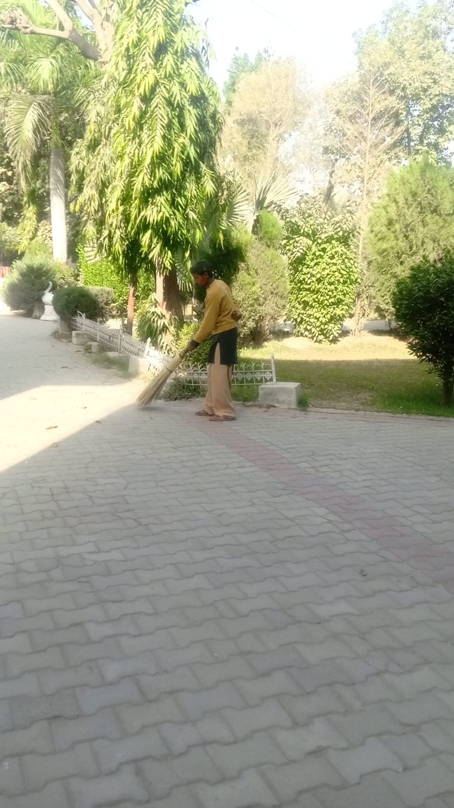 Maintained Campus Walkways