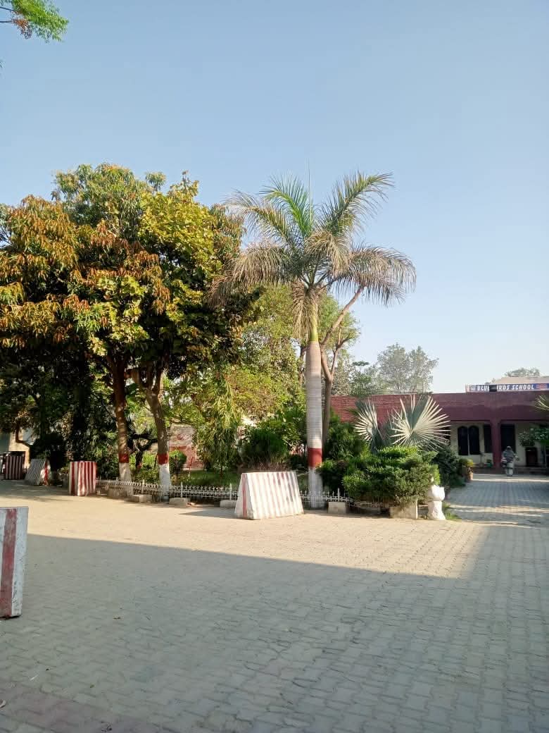 Palm-lined Pathway