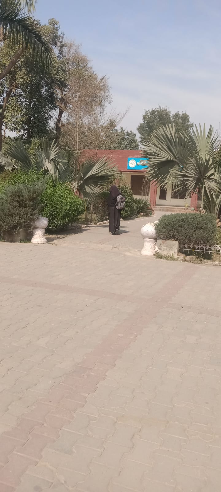 Path to Campus Cafeteria