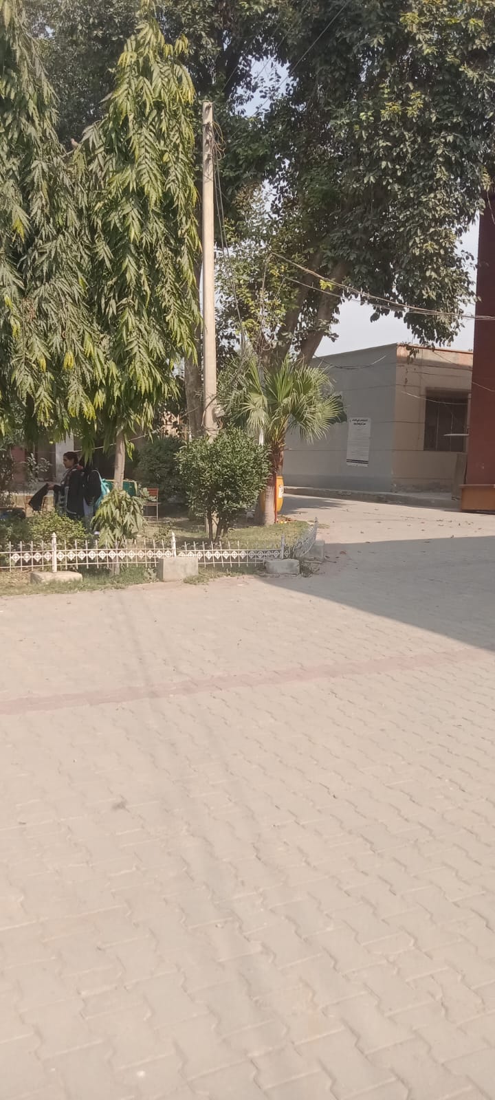 Pathway Through Campus