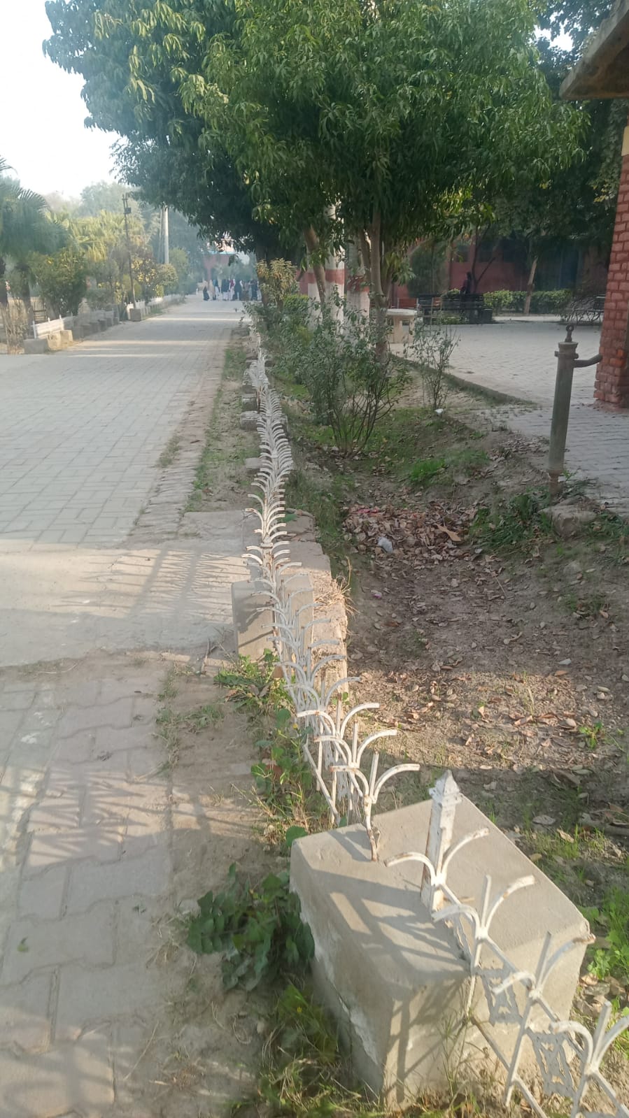 Pathway with Garden Fence