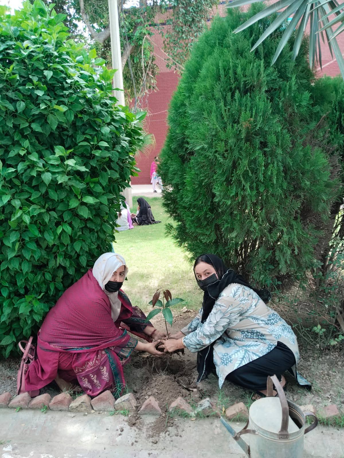 Faculty Joins Plantation