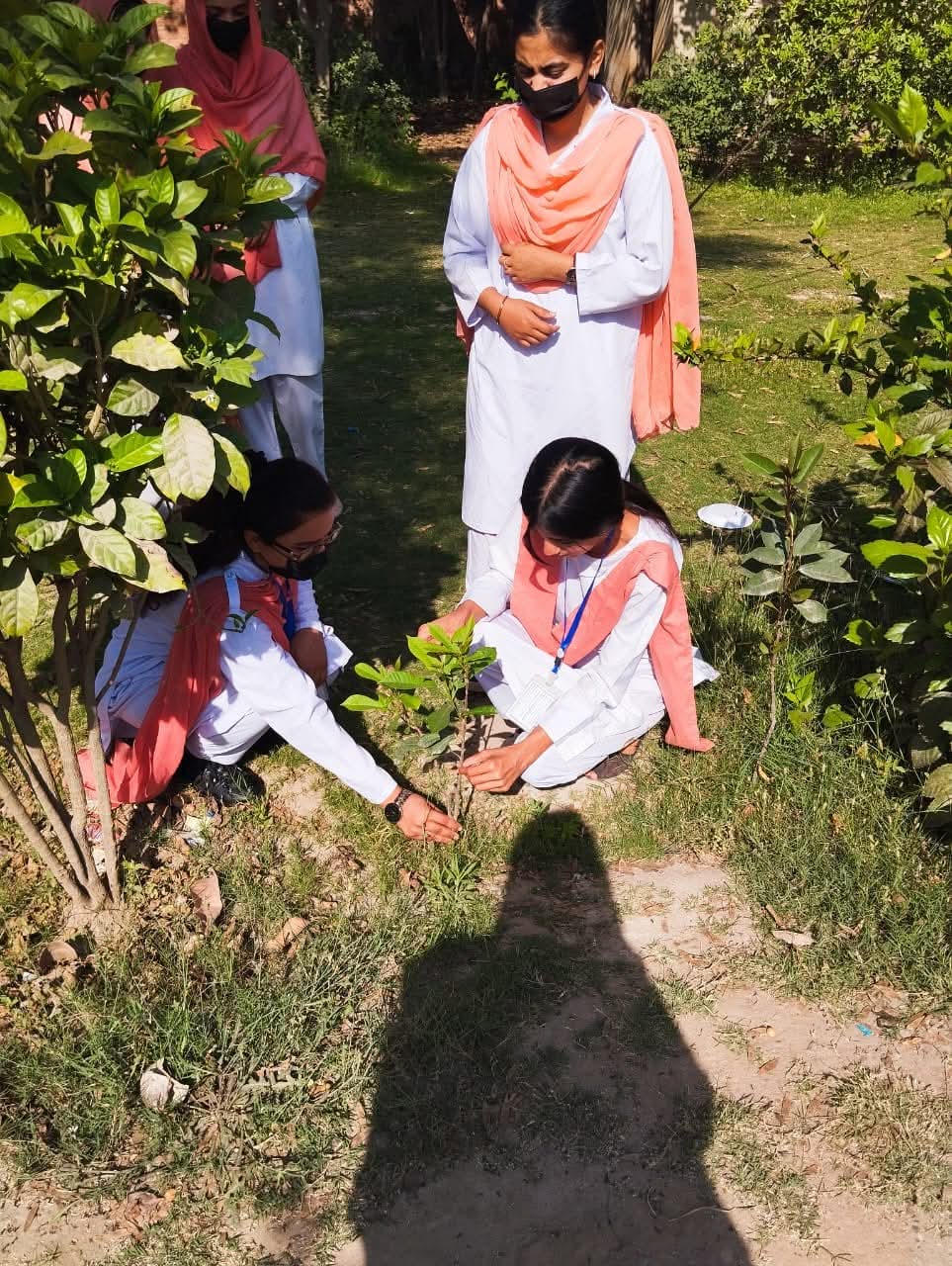 Students Planting Saplings