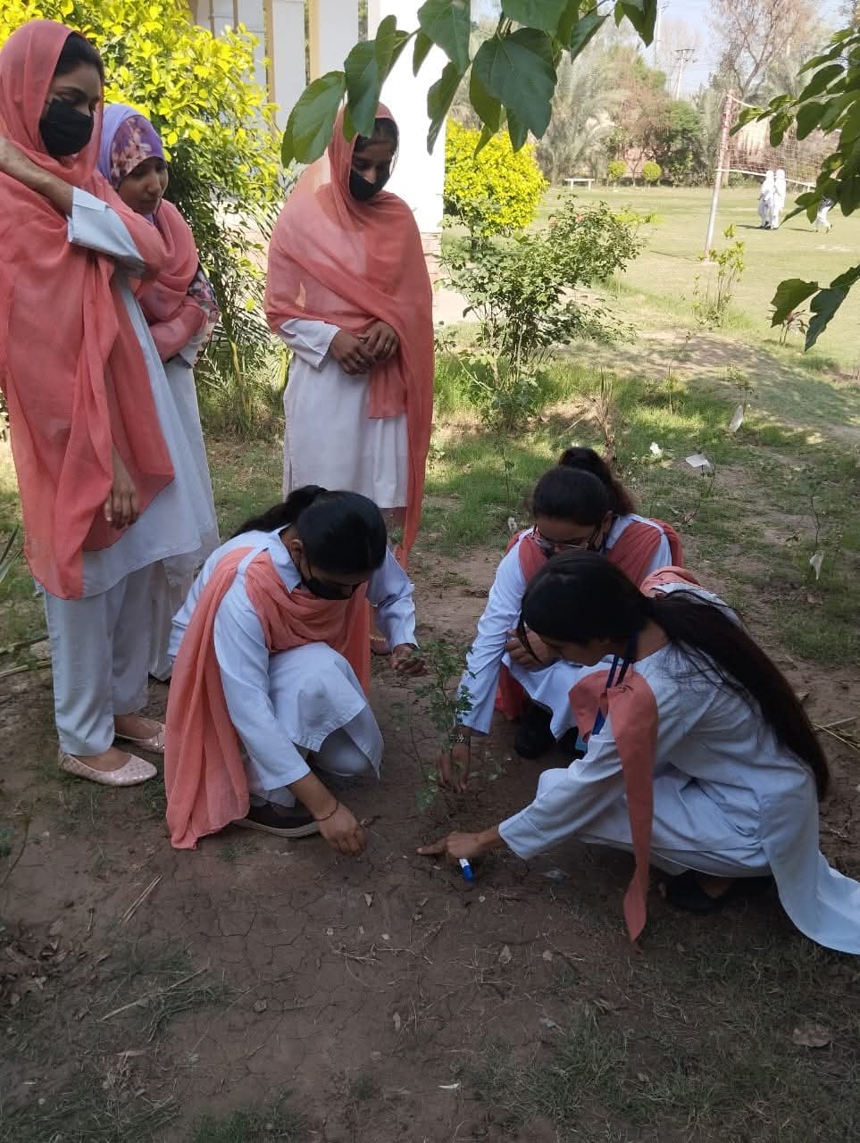 Tree Planting Activity